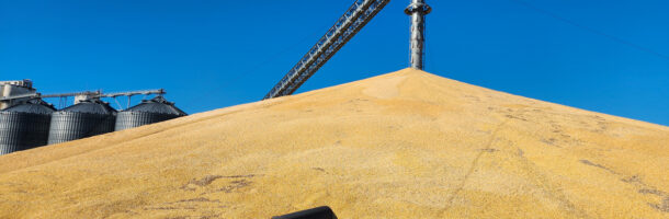 Emergency Conveyor Repair